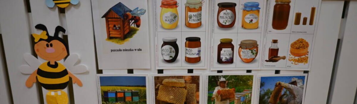 Zdrowy Przedszkolak – Od pszczoły do miodu