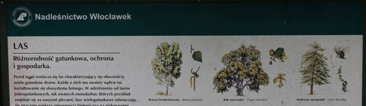 Wycieczka – ścieżka Dydaktyczna Biedronki